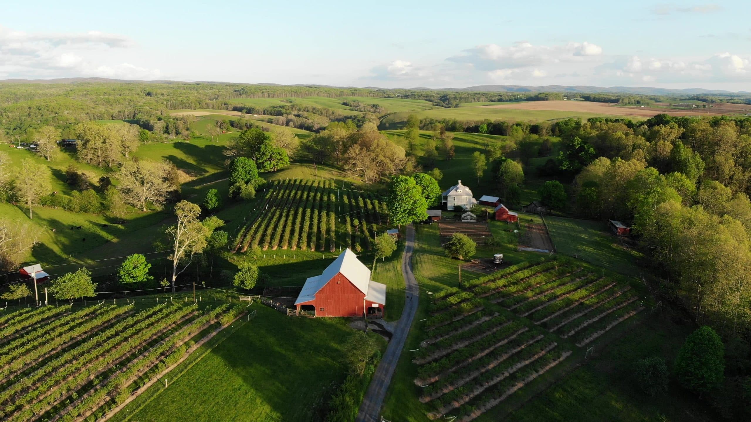 Fruit orchard in Pennsylvania