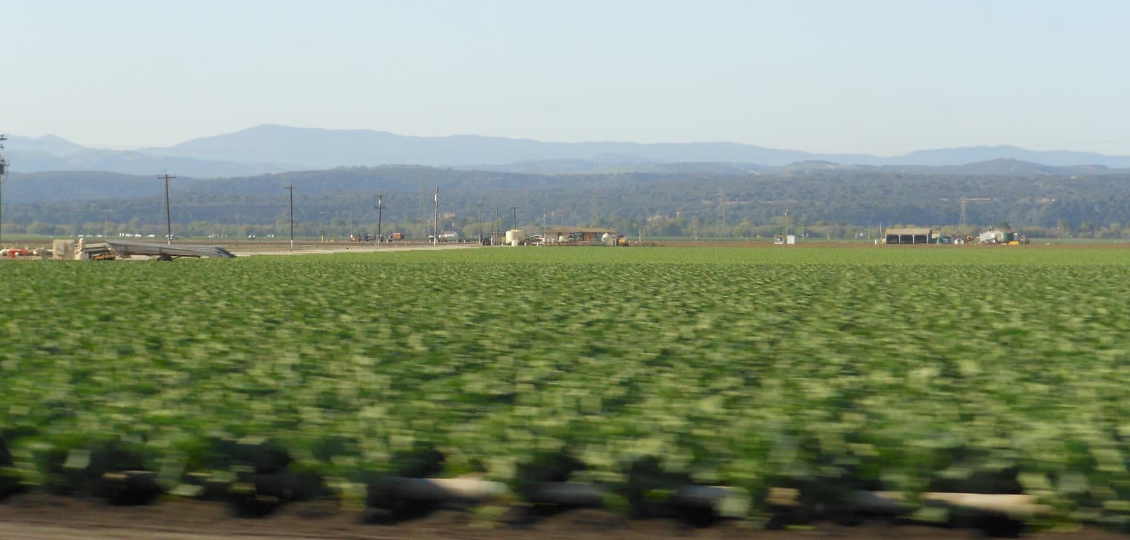 Agricultural equipment in a cultivated field