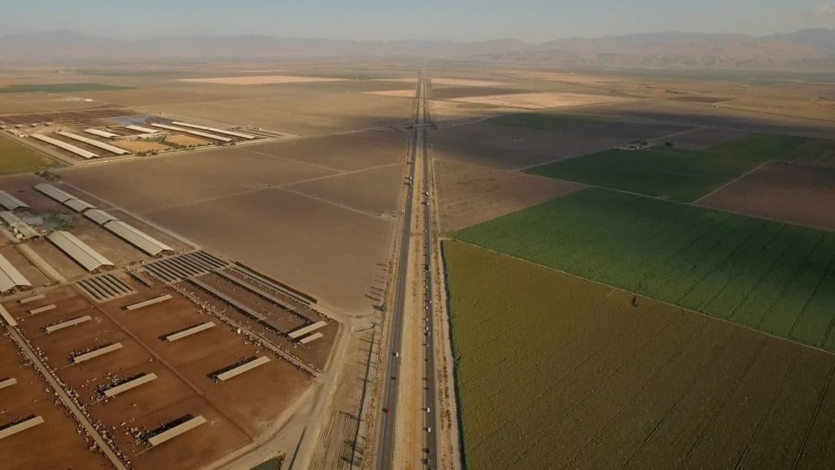 Aerial view of California pistachio orchards and the California Aqueduct