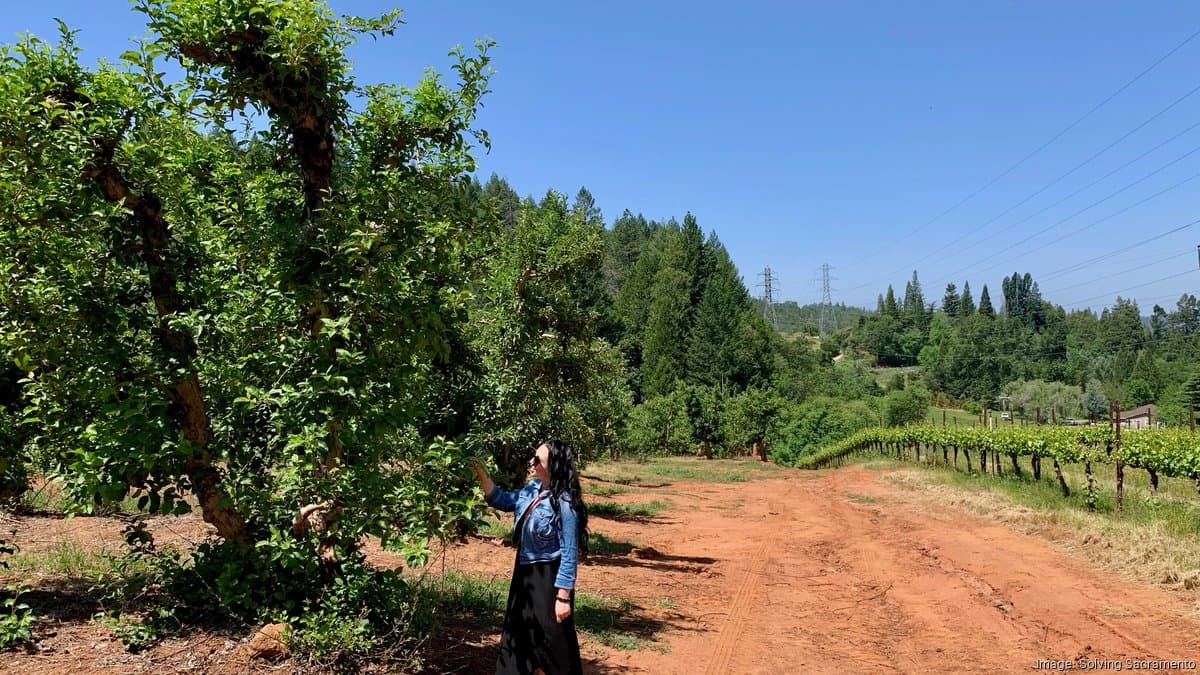 A broad river landscape with trees and open land in the Sacramento region